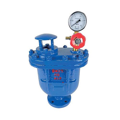 CARX複(fu)合式排氣閥